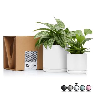 Ceramic Planter Set | White
