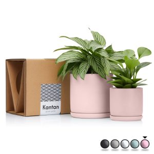 Ceramic Planter Set | Pink